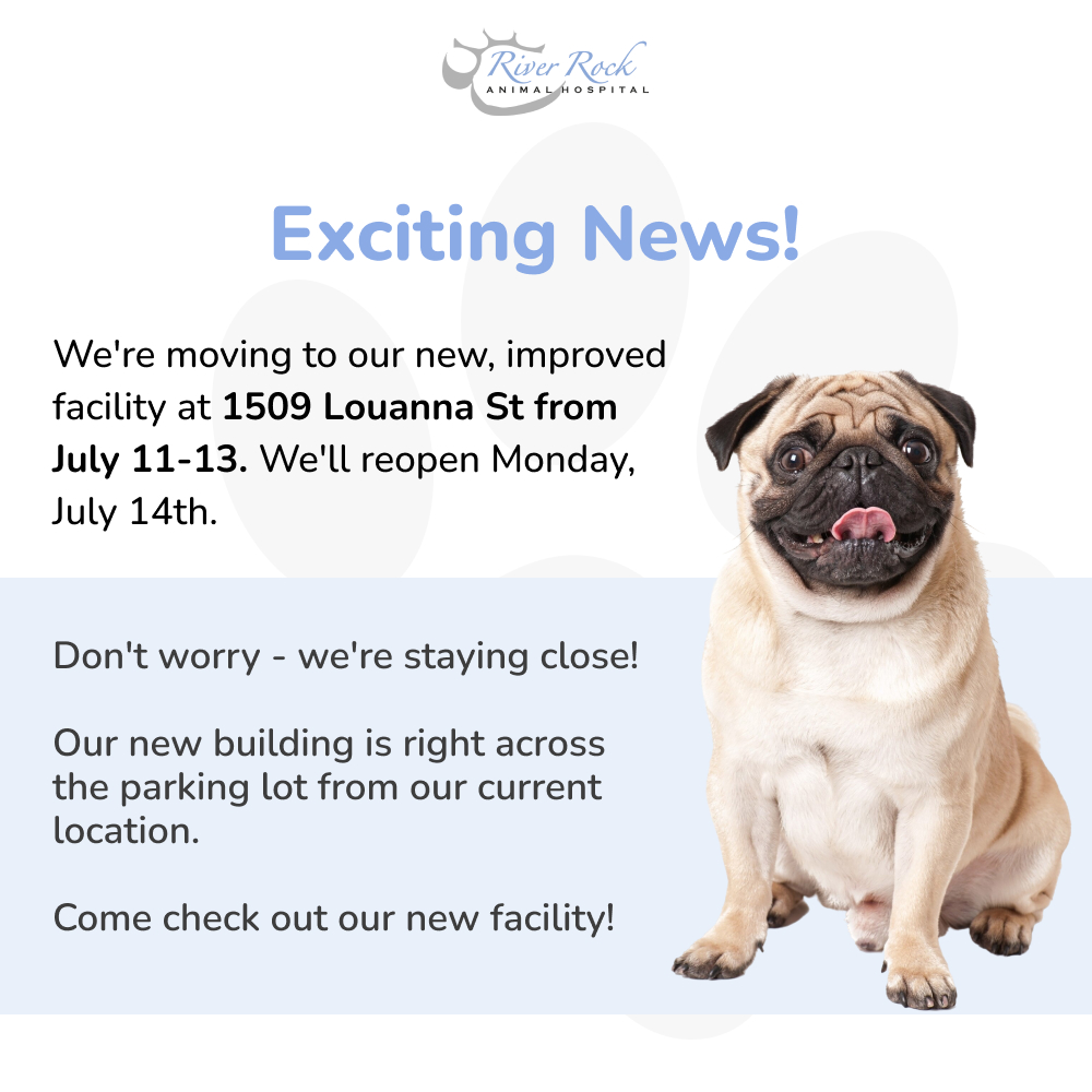 Pop up for june