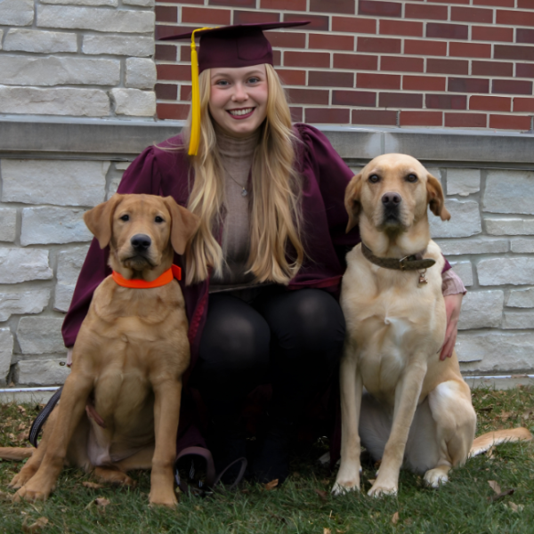 Graduate in burgundy cap and gown sitting with two Labrador dogs.