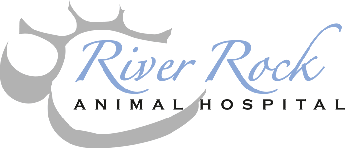 Logo of River Rock Animal Hospital featuring stylized text and river graphic.