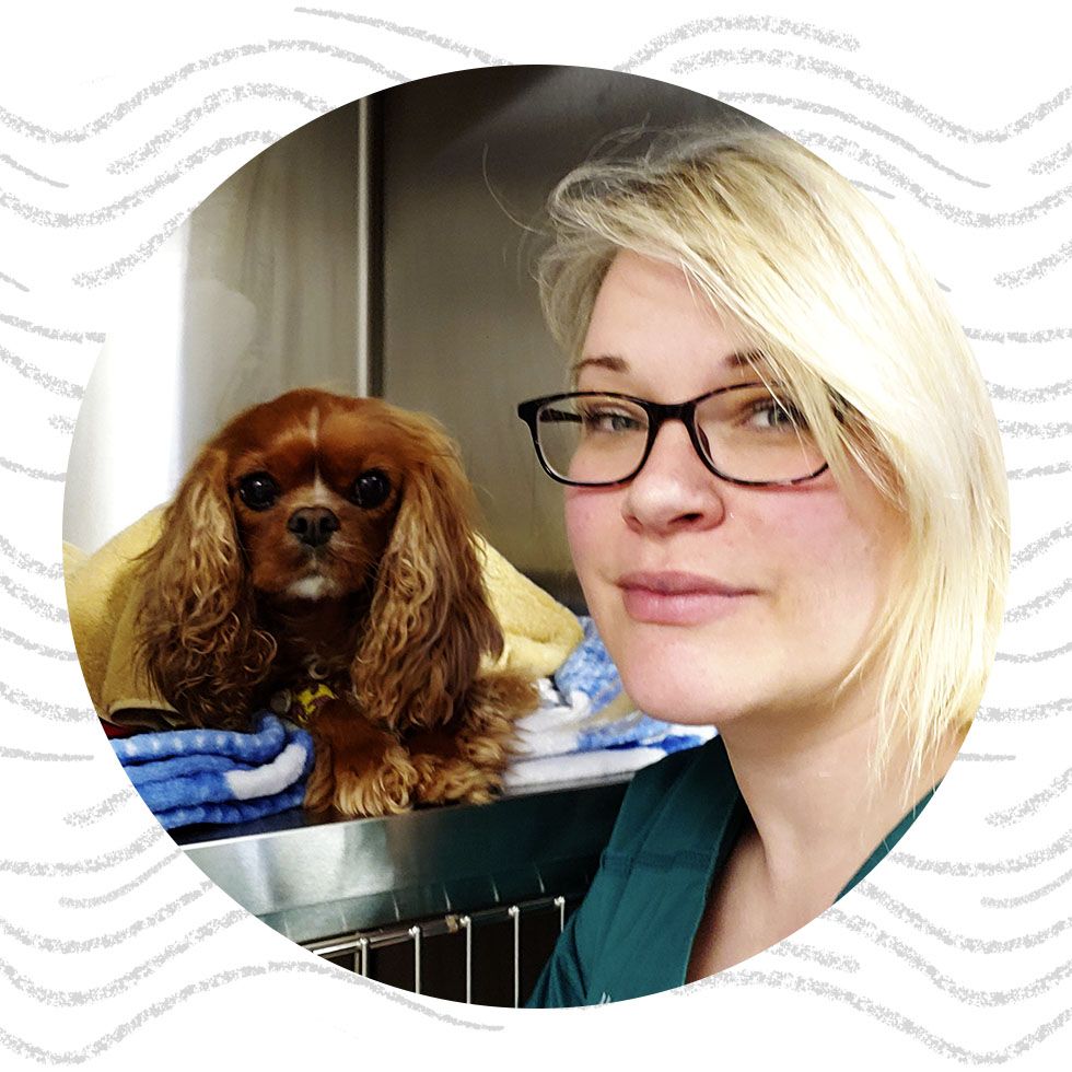 Woman with blonde hair and glasses posing with a brown Cavalier King Charles Spaniel.