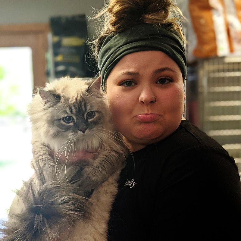 Woman wearing a headband making a pouting face while holding a fluffy gray cat.