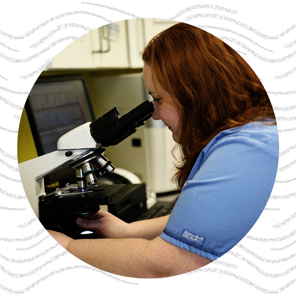 Woman in blue shirt using a microscope in a laboratory.