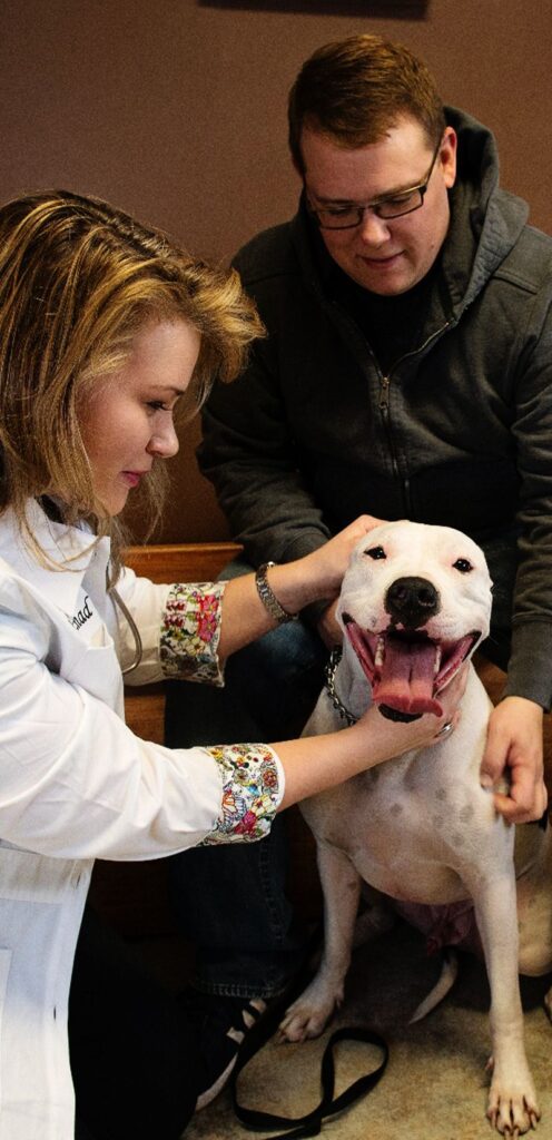 Veterinarian examining a happy white dog, assisted by a smiling man in a jacket.
