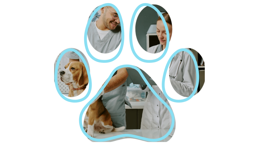 vet near me dental care River Rock Animal Hospital Midland pet dental cleaning