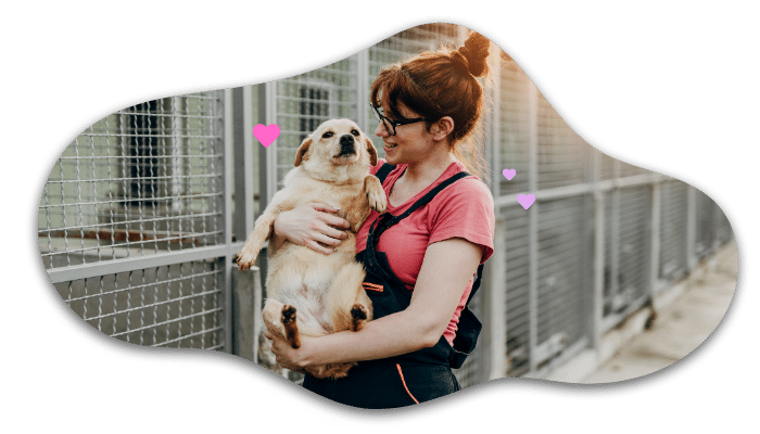 Dog being carried out of a shelter near River Rock Animal Hospital in Midland, MI