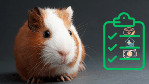 Guinea pig beside a new pet care checklist for pet owners near River Rock Animal Hospital in Midland, MI