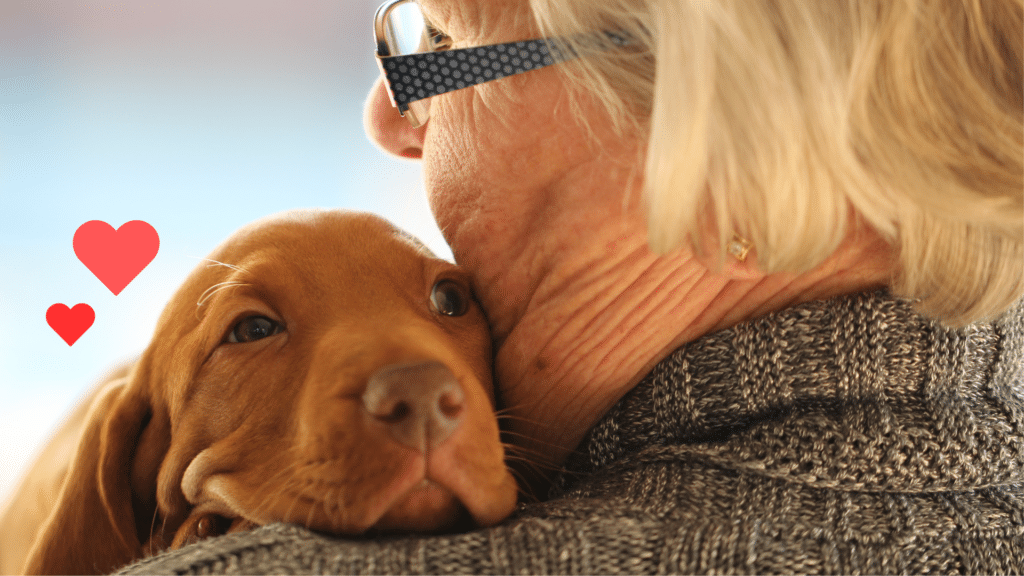 Dog bonding with an owner during the adjustment period for a new pet in Midland, MI